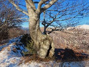 Monte VACCAREGGIO (1474 m) da Lavaggio di Dossena-11dic24 - FOTOGALLERY